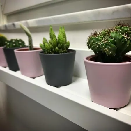 Appartamento Casa Mya - Flat