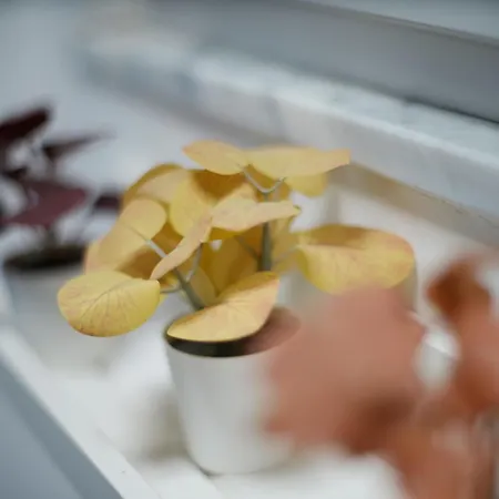 Apartmán Casa Mya - Flat