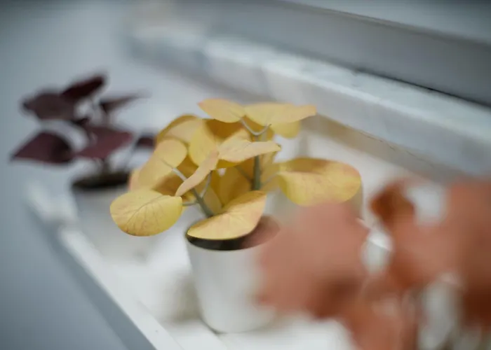 아파트 Casa Mya - Flat